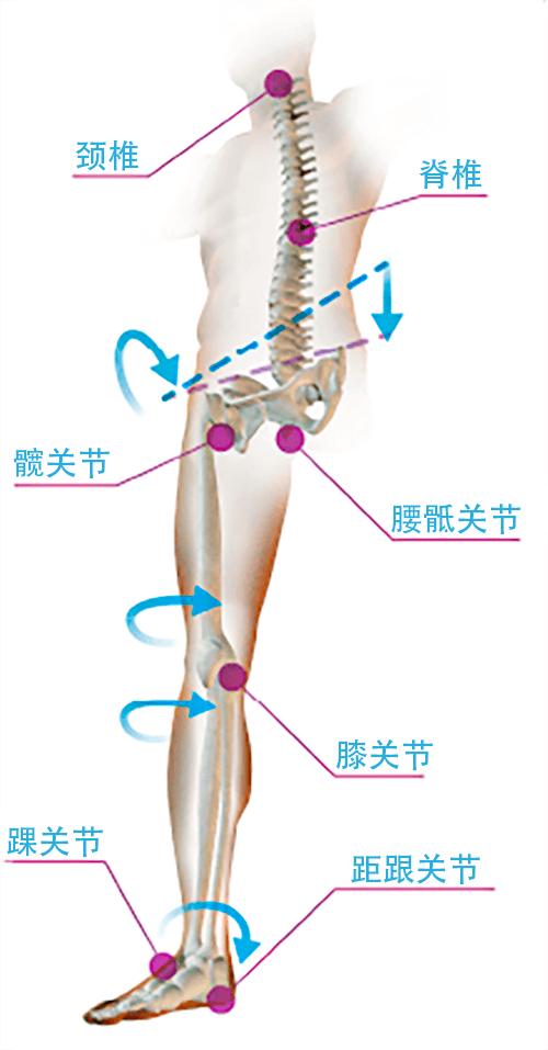 足部健康与生物力学的运动链