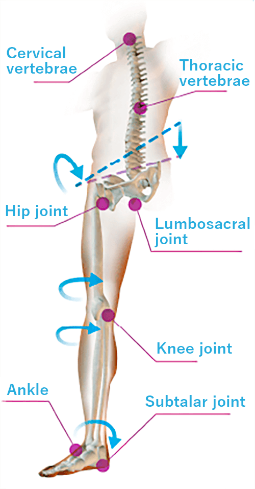 ergonomics and biomechanics