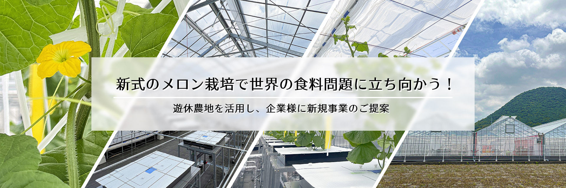 町田式水耕栽培槽の価格についてお問い合わせください