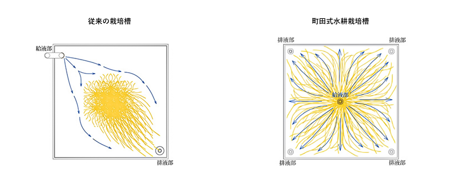 メロンの水耕栽培技術