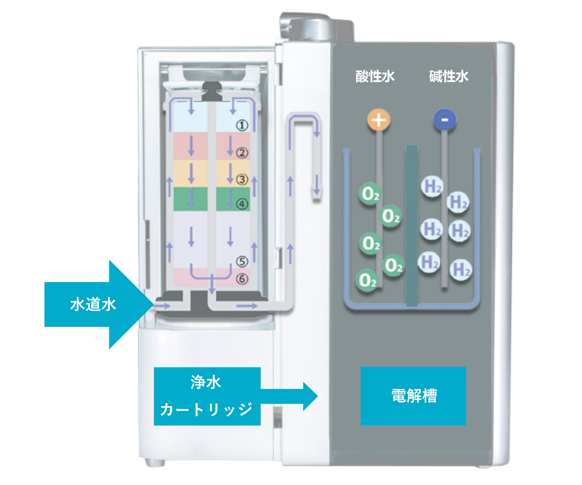 電解水素水生成器の仕組み