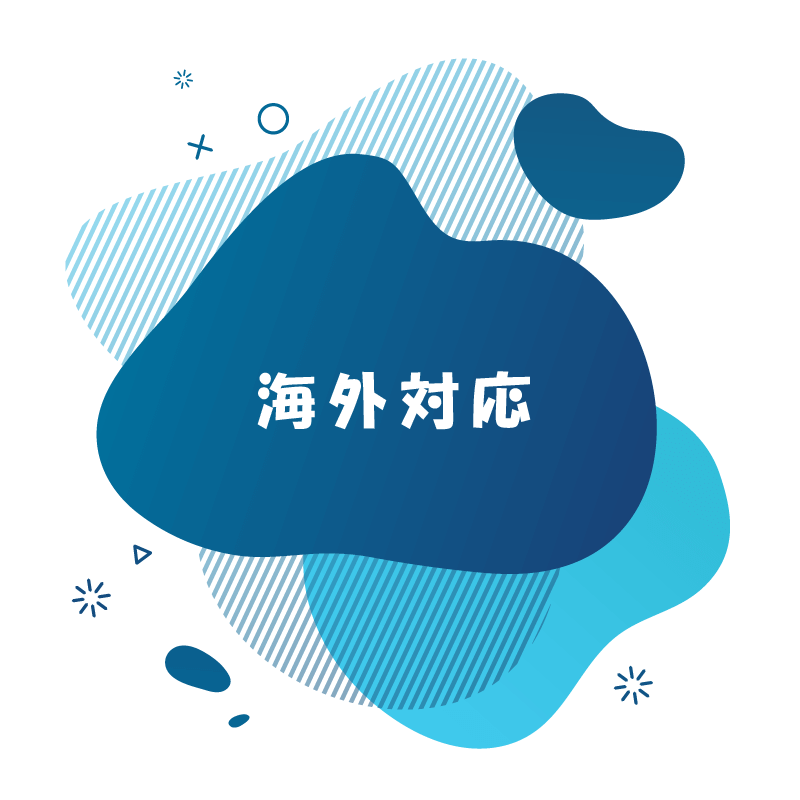 電解水素水生成器の海外対応オプション